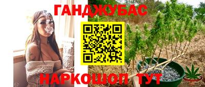 трава Будённовск