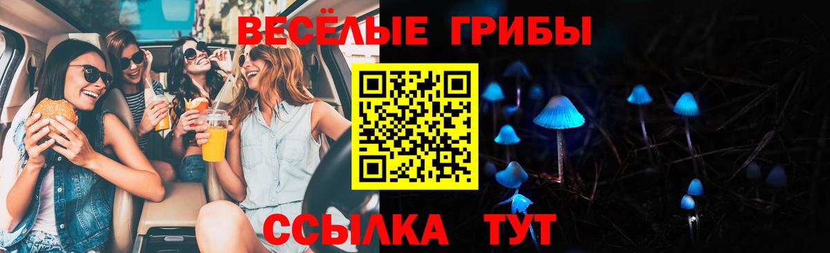 Псилоцибиновые грибы Magic Shrooms  Вход с VPN  Тейково  Галлюциногенные грибы прущие грибы 